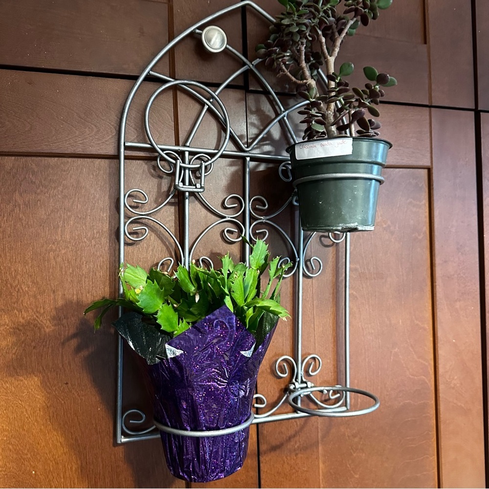SALE!! Wrought iron wall hanger for 4 plants or hairdryer/straightener.     2